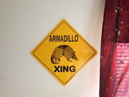 Armadillo Crossing