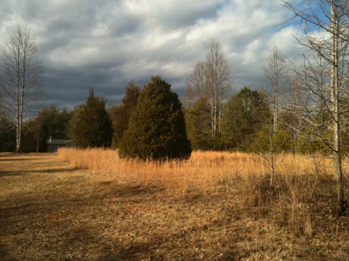 New House Sky